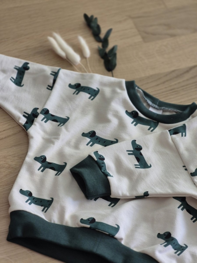 Sweater Hund